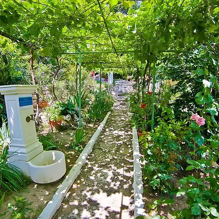 Semesterbostad Sequoia