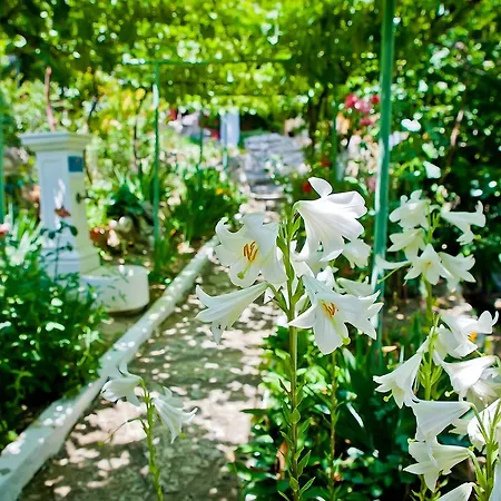 Sequoia Semesterbostad Golden Sands