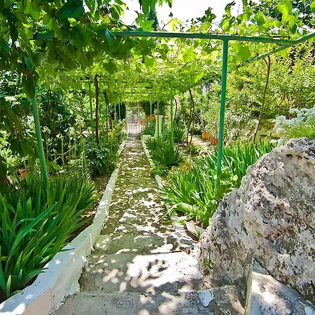 Sequoia * Golden Sands