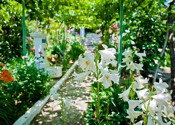 Sequoia Сasa de vacaciones Golden Sands