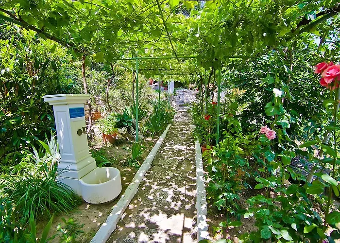 Casa vacanze Sequoia