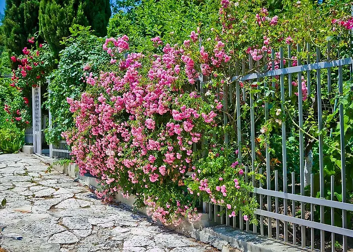 Sequoia * Golden Sands